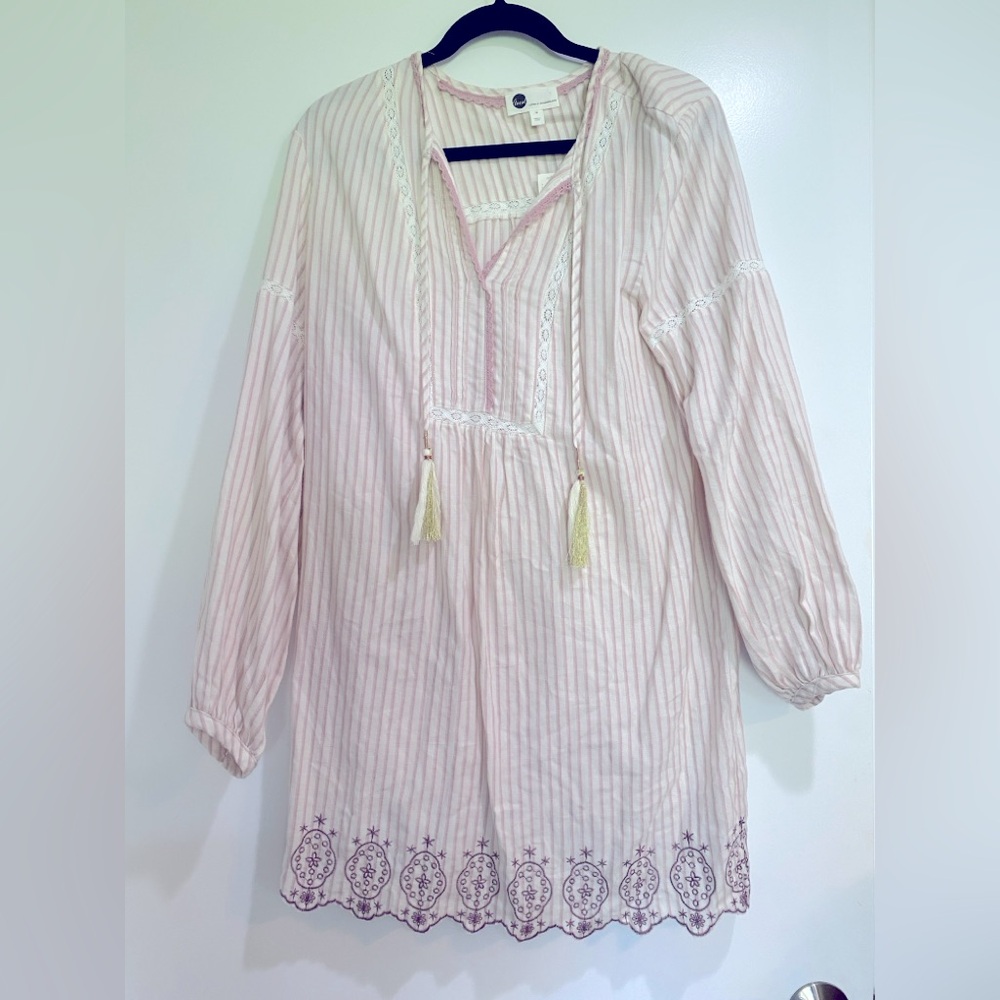 Anthropologie Floreat Pink and White Striped Dress